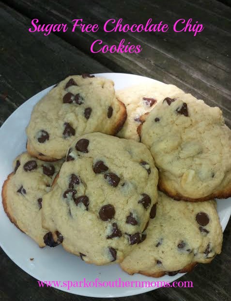Sugar Free Chocolate Chip Cookies - Spark of Southern Moms