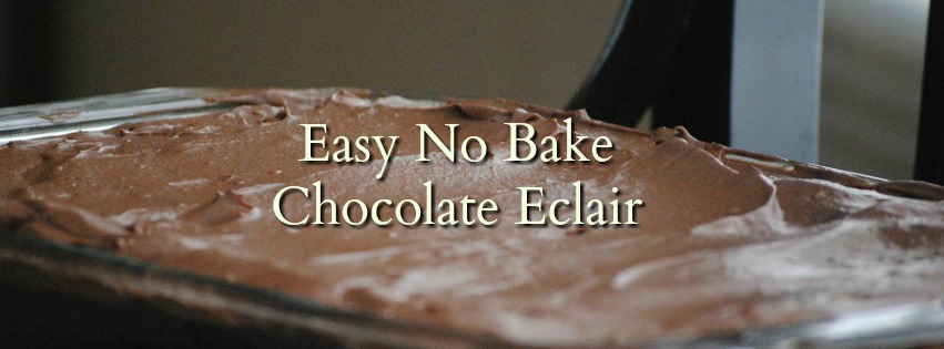 Easy No Bake Chocolate Eclair