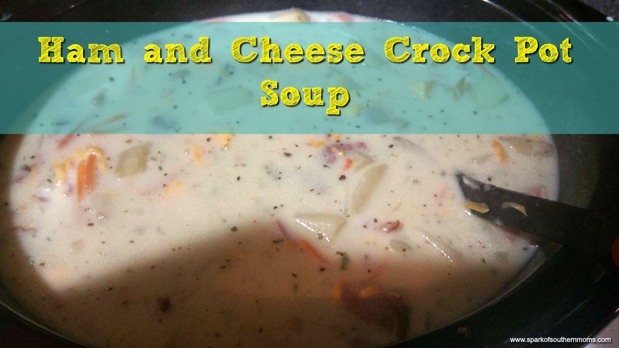 Ham and Cheese Crock Pot Soup