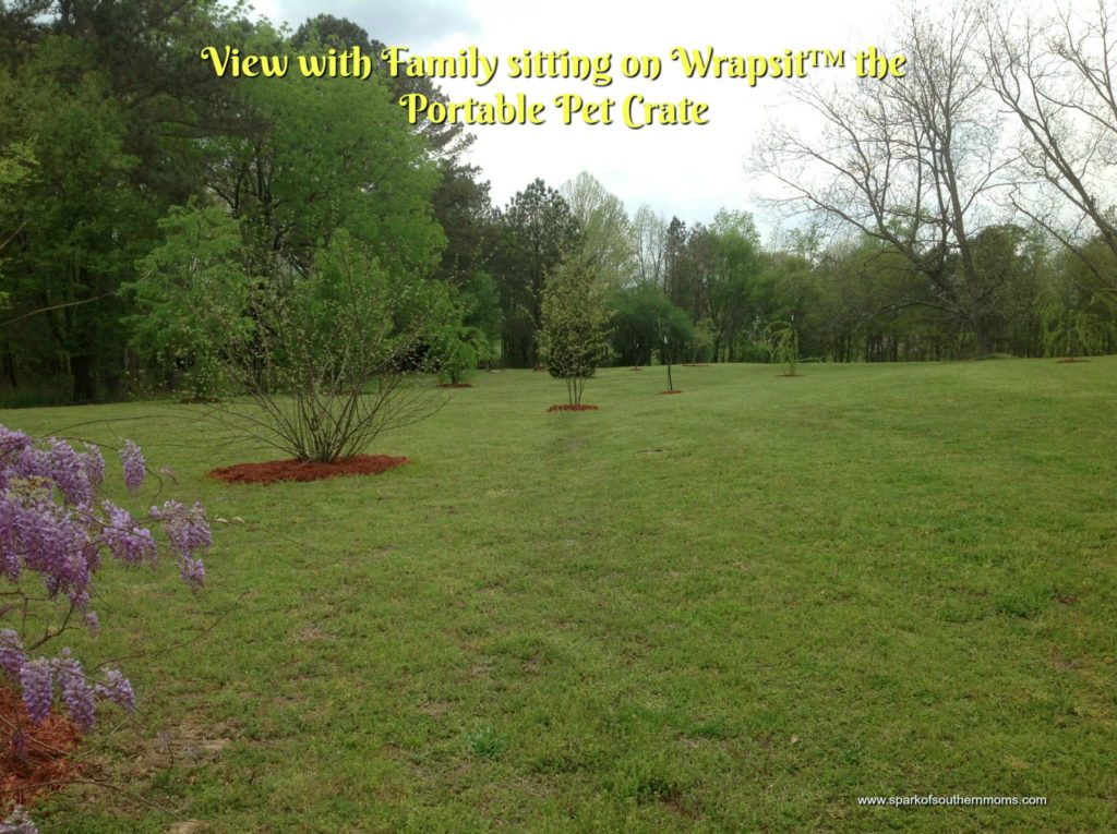 Wrapsit™ the Portable Pet Crate: My View