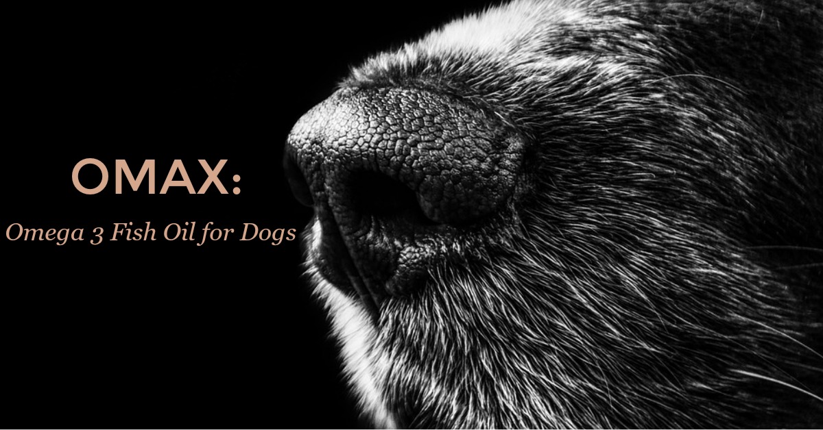 OMAX3: Omega 3 Fish Oil for Dogs